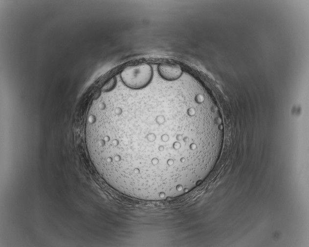 X0000097471255200802220821