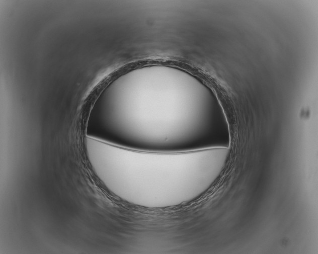 X0000097471256200802220821