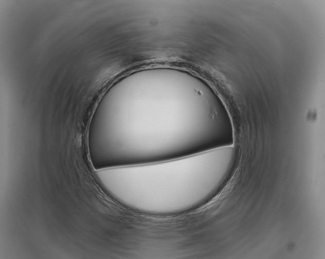 X0000097471257200802220821