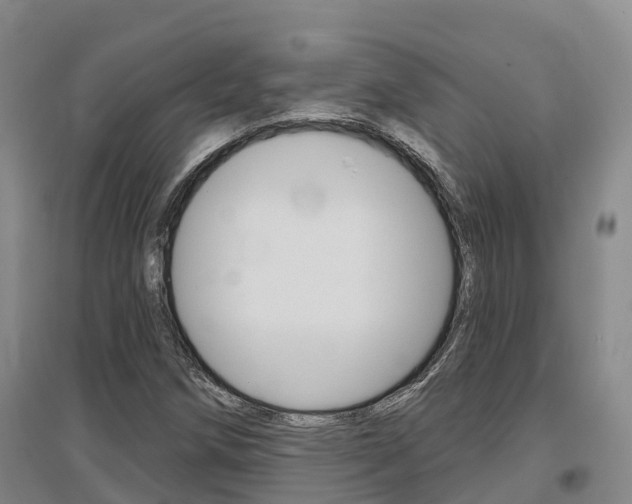 X0000097471258200802220821