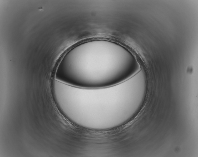 X0000097471260200802220821