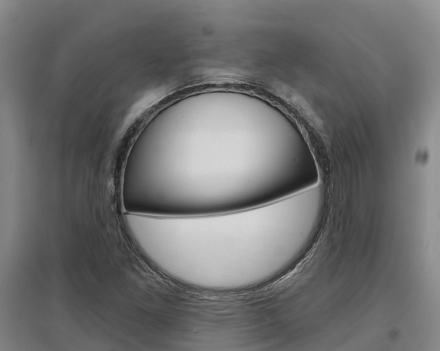 X0000097471261200802220821