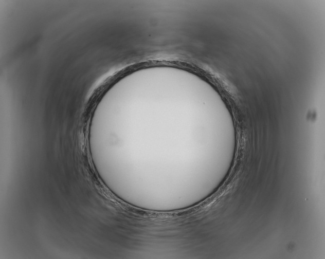X0000097471262200802220821