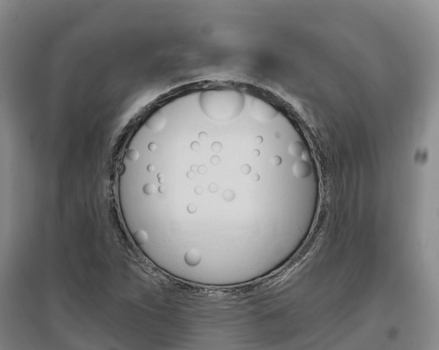 X0000097471263200802220821