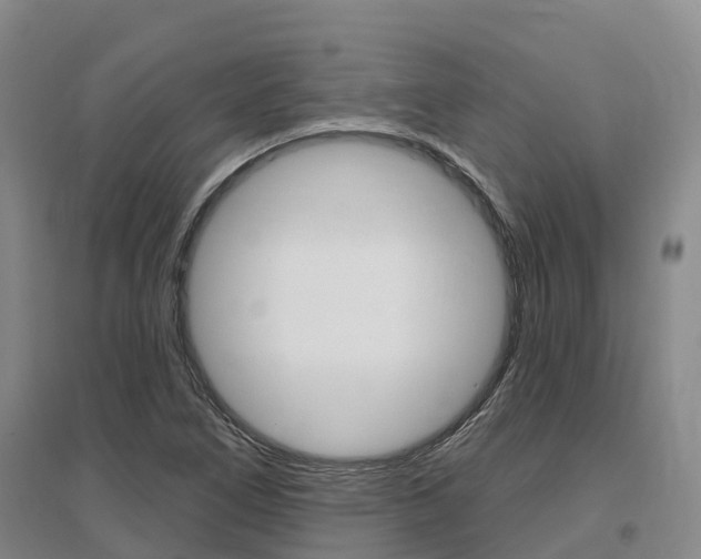 X0000097471266200802220821