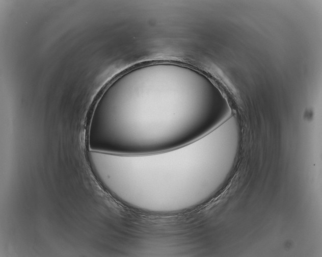 X0000097471268200802220821