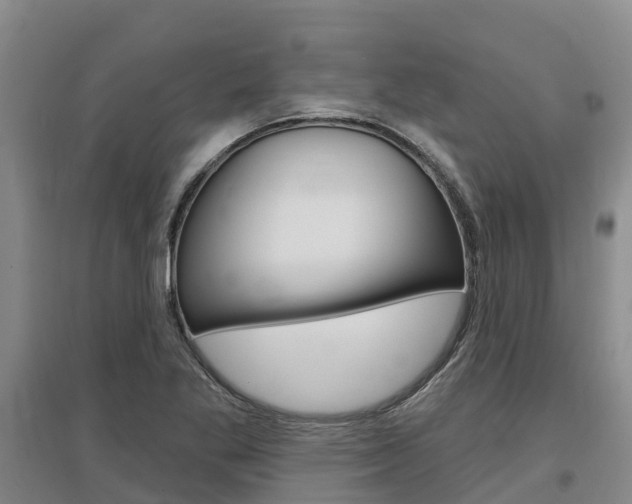 X0000097471269200802220821