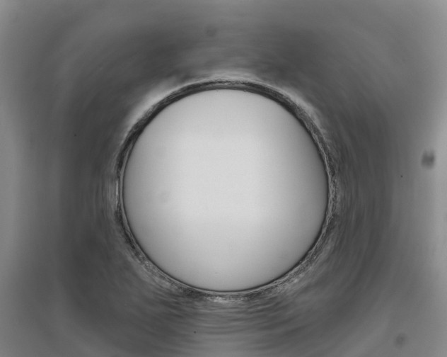 X0000097471271200802220821