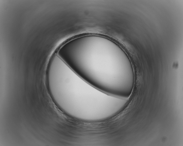 X0000097471272200802220821