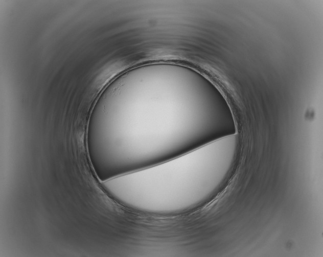 X0000097471273200802220821