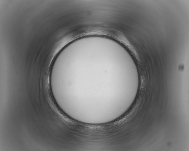 X0000097471274200802220821