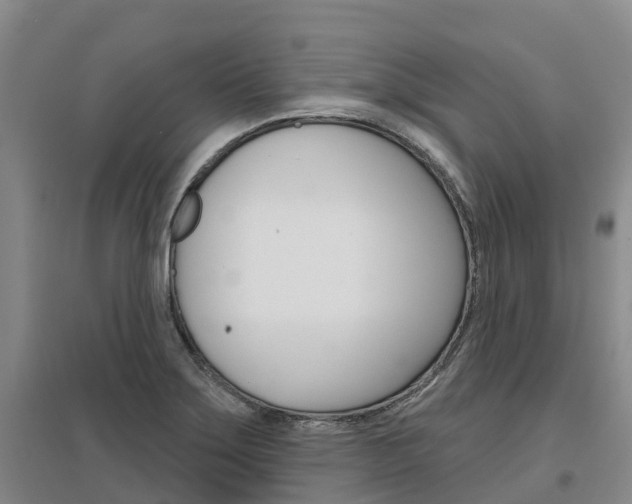 X0000097471275200802220821
