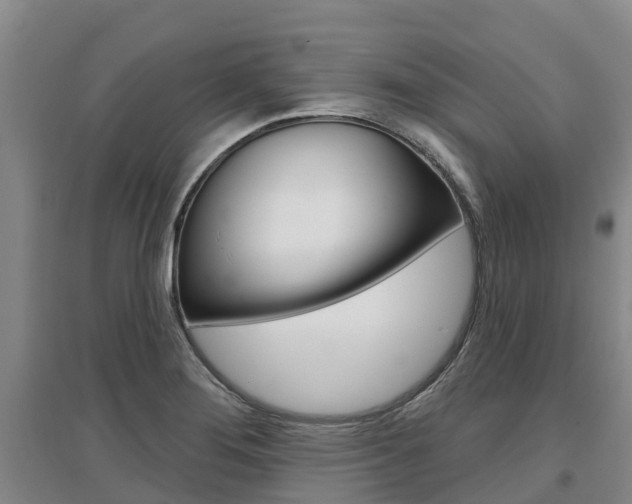 X0000097471276200802220821