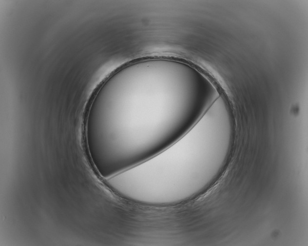 X0000097471277200802220821