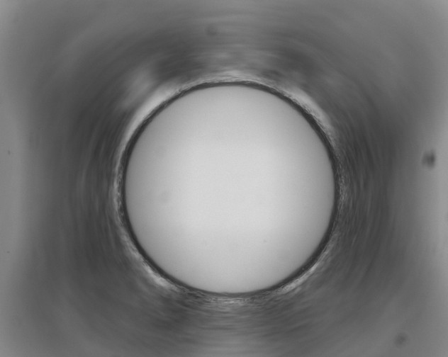 X0000097471278200802220821