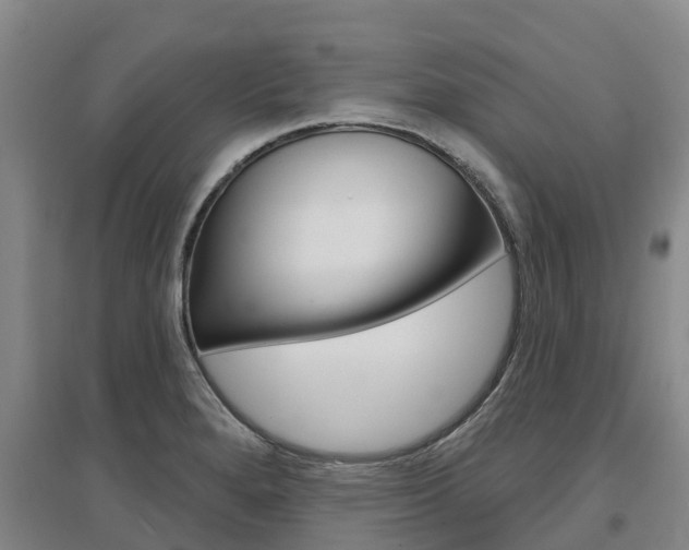 X0000097471280200802220821