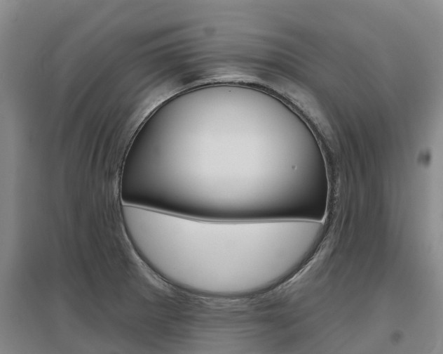 X0000097471281200802220821