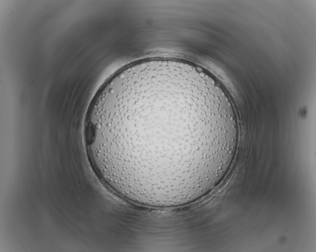 X0000097471283200802220821