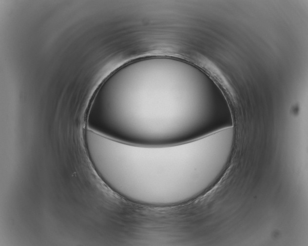 X0000097471284200802220821