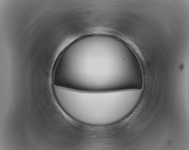 X0000097471285200802220821
