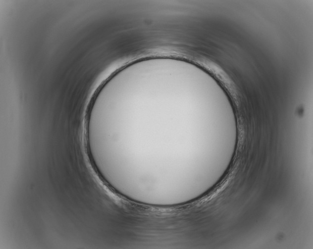 X0000097471286200802220821