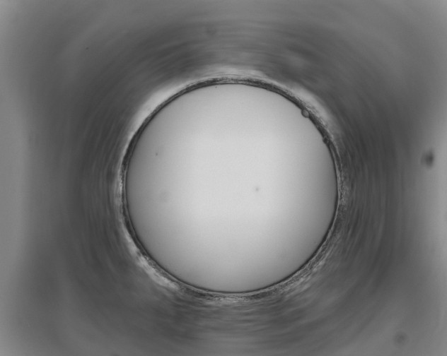 X0000097471287200802220821