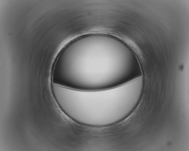 X0000097471288200802220821