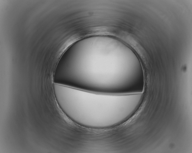 X0000097471289200802220821