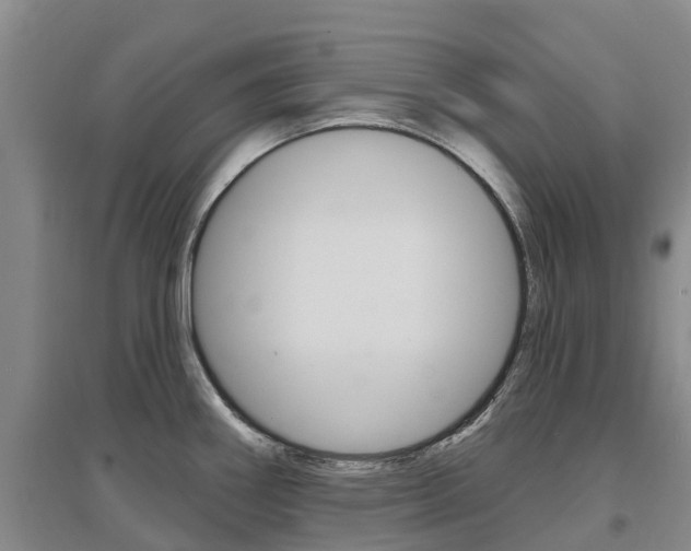 X0000097471290200802220821