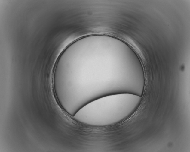 X0000097471291200802220821