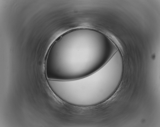 X0000097471292200802220821
