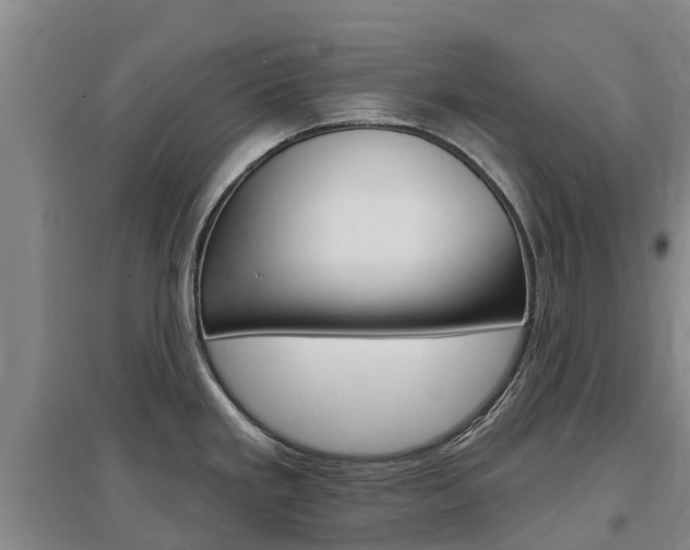 X0000097471293200802220821