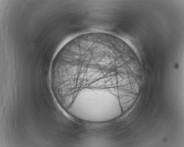 X0000097471294200802220821