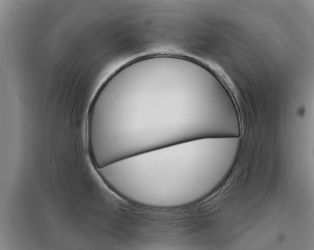 X0000097471295200802220821