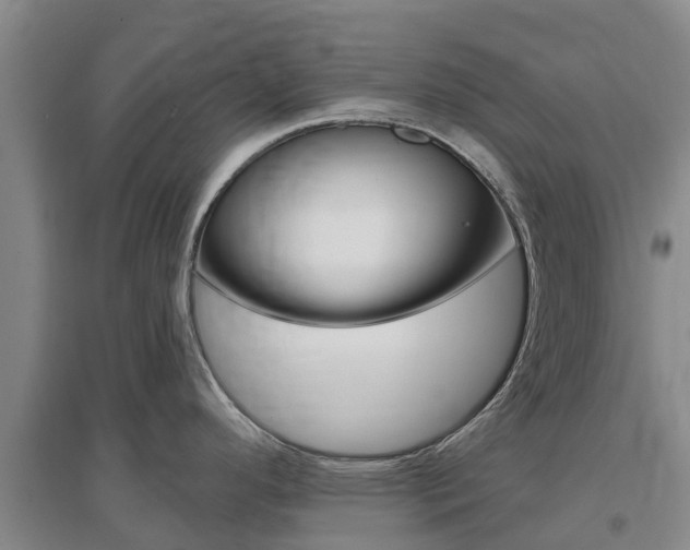 X0000097471296200802220821