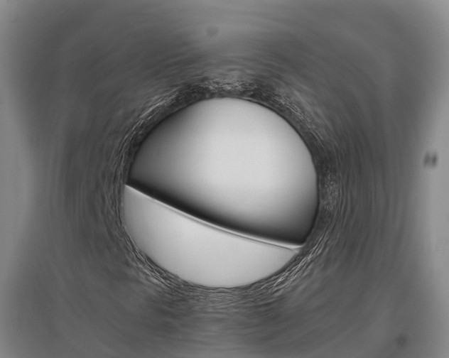 X0000097471297200802220820