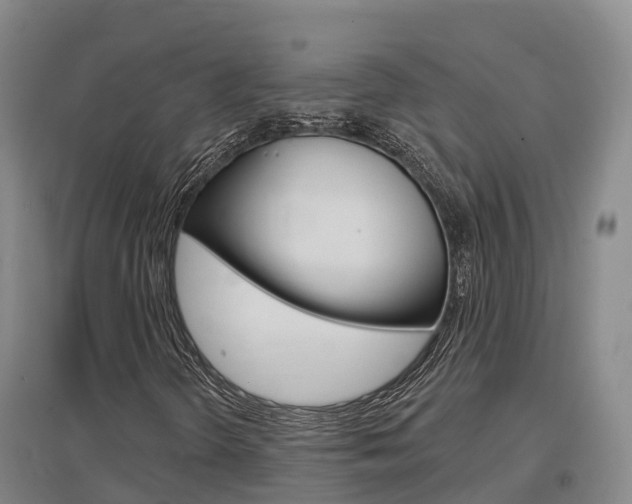 X0000097471298200802220820