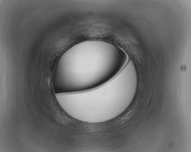 X0000097471300200802220820