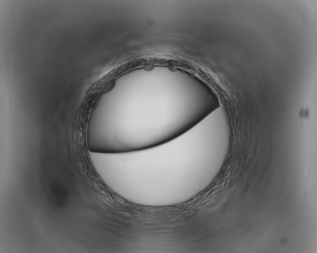 X0000097471303200802220820