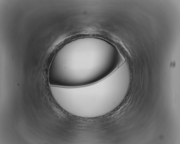 X0000097471304200802220820