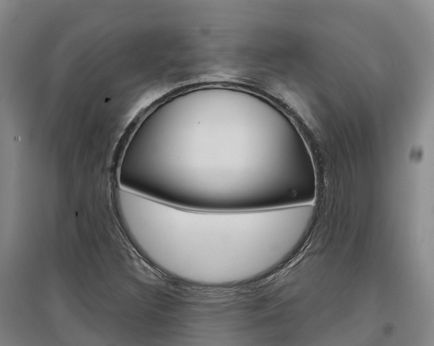 X0000097471308200802220820