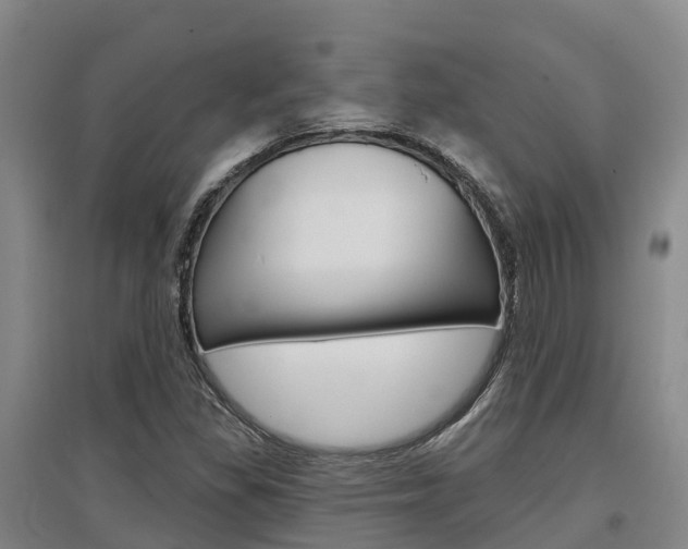 X0000097471309200802220820