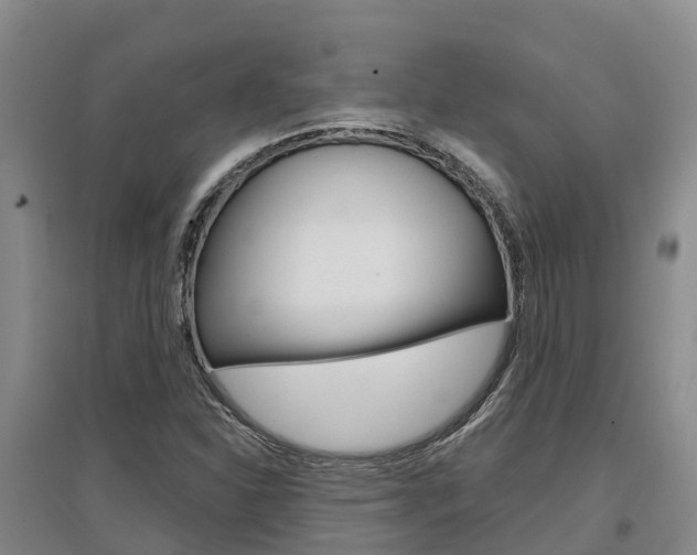 X0000097471310200802220820