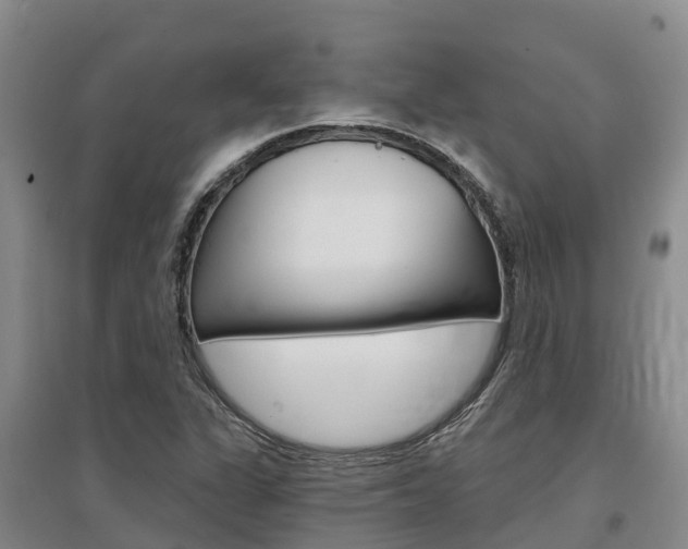 X0000097471311200802220820