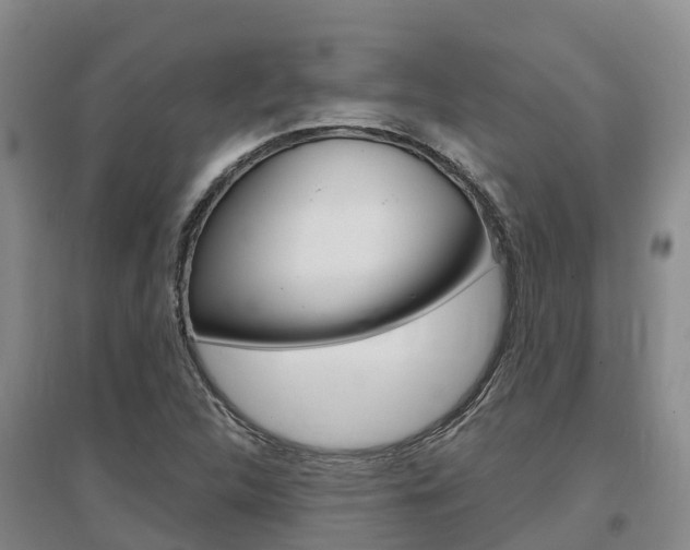 X0000097471312200802220820