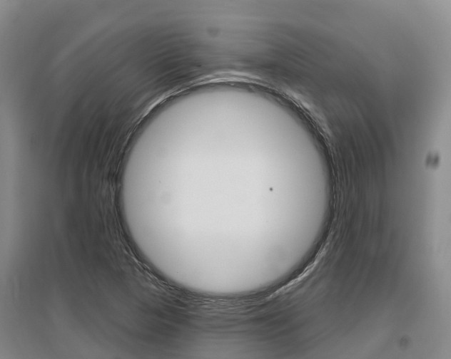 X0000097471313200802220820