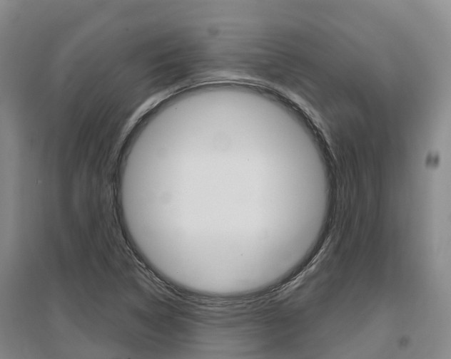 X0000097471314200802220820