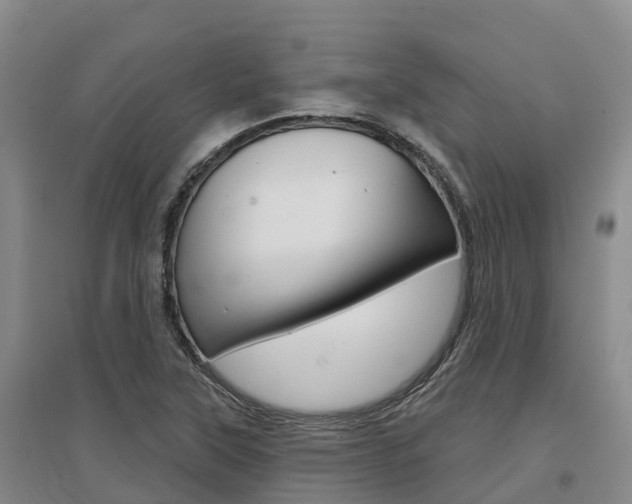 X0000097471315200802220820