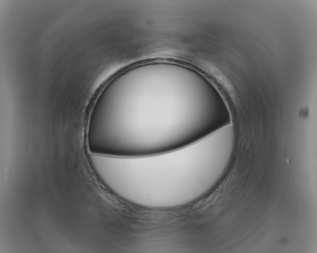 X0000097471316200802220820