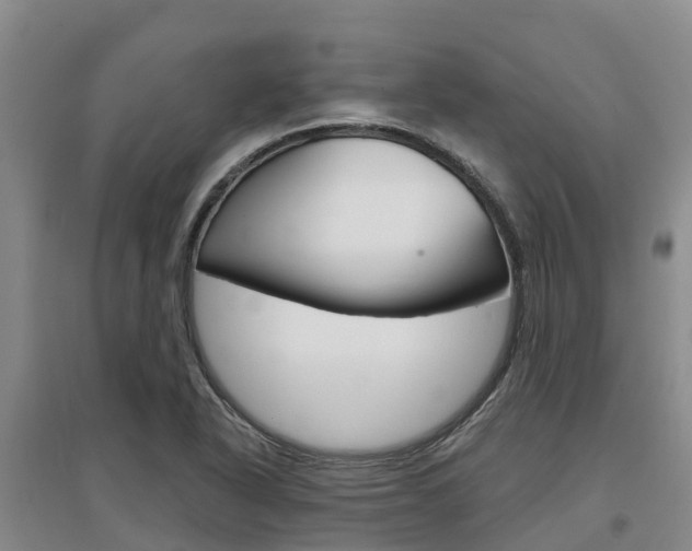 X0000097471318200802220820